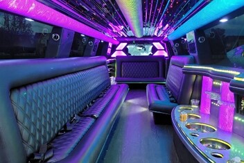 Edina Limo Interior
